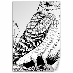 Animal Bird Forest Nature Owl Canvas 20  X 30   by Celenk