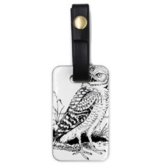 Animal Bird Forest Nature Owl Luggage Tags (one Side)  by Celenk