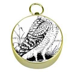 Animal Bird Forest Nature Owl Gold Compasses by Celenk