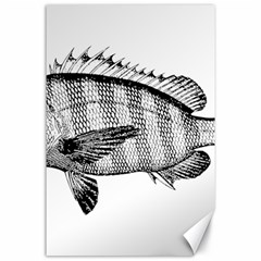 Animal Fish Ocean Sea Canvas 24  X 36  by Celenk