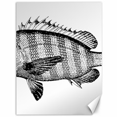 Animal Fish Ocean Sea Canvas 36  X 48   by Celenk