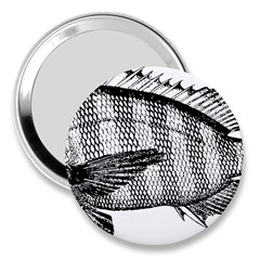 Animal Fish Ocean Sea 3  Handbag Mirrors by Celenk