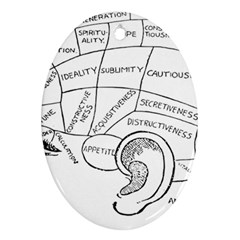 Brain Chart Diagram Face Fringe Ornament (oval) by Celenk