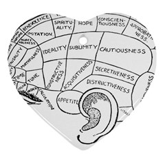 Brain Chart Diagram Face Fringe Ornament (heart) by Celenk