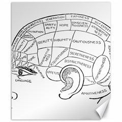 Brain Chart Diagram Face Fringe Canvas 8  X 10  by Celenk