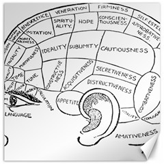 Brain Chart Diagram Face Fringe Canvas 20  X 20   by Celenk