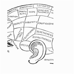 Brain Chart Diagram Face Fringe Small Garden Flag (two Sides) by Celenk