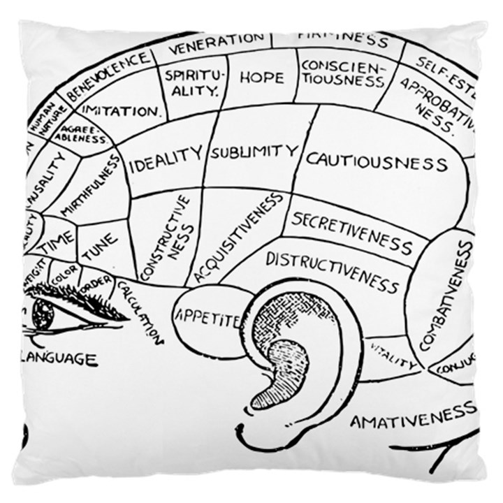 Brain Chart Diagram Face Fringe Large Flano Cushion Case (Two Sides)