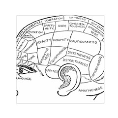 Brain Chart Diagram Face Fringe Small Satin Scarf (square) by Celenk