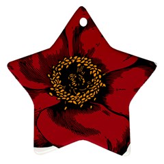 Floral Flower Petal Plant Ornament (star) by Celenk