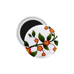 Flower Branch Nature Leaves Plant 1 75  Magnets by Celenk