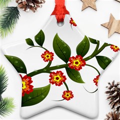 Flower Branch Nature Leaves Plant Star Ornament (two Sides) by Celenk