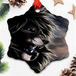 Angry Lion Digital Art Hd Ornament (Snowflake) Front