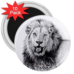 Lion Wildlife Art And Illustration Pencil 3  Magnets (10 Pack)  by Celenk