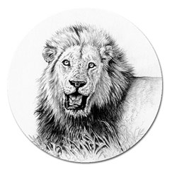 Lion Wildlife Art And Illustration Pencil Magnet 5  (round) by Celenk