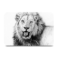 Lion Wildlife Art And Illustration Pencil Plate Mats