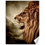 Roaring Lion Canvas 12  x 16   11.86 x15.41  Canvas - 1