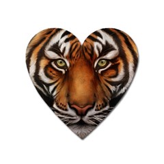 The Tiger Face Heart Magnet