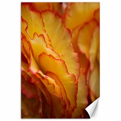 Flowers Leaves Leaf Floral Summer Canvas 20  X 30   by Celenk