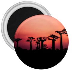 Baobabs Trees Silhouette Landscape 3  Magnets