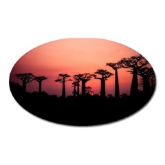 Baobabs Trees Silhouette Landscape Oval Magnet by BangZart