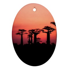 Baobabs Trees Silhouette Landscape Oval Ornament (two Sides)