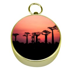 Baobabs Trees Silhouette Landscape Gold Compasses by BangZart