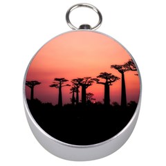 Baobabs Trees Silhouette Landscape Silver Compasses by BangZart