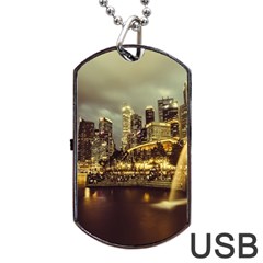 Singapore City Urban Skyline Dog Tag Usb Flash (two Sides) by BangZart