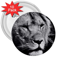 Africa Lion Male Closeup Macro 3  Buttons (10 Pack)  by BangZart