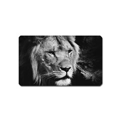 Africa Lion Male Closeup Macro Magnet (name Card) by BangZart