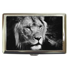 Africa Lion Male Closeup Macro Cigarette Money Cases by BangZart