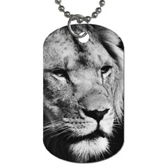 Africa Lion Male Closeup Macro Dog Tag (two Sides) by BangZart