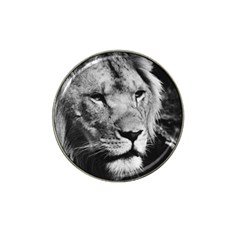 Africa Lion Male Closeup Macro Hat Clip Ball Marker by BangZart