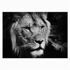 Africa Lion Male Closeup Macro Large Glasses Cloth by BangZart