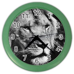 Africa Lion Male Closeup Macro Color Wall Clocks by BangZart