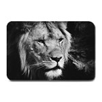 Africa Lion Male Closeup Macro Plate Mats 18 x12  Plate Mat