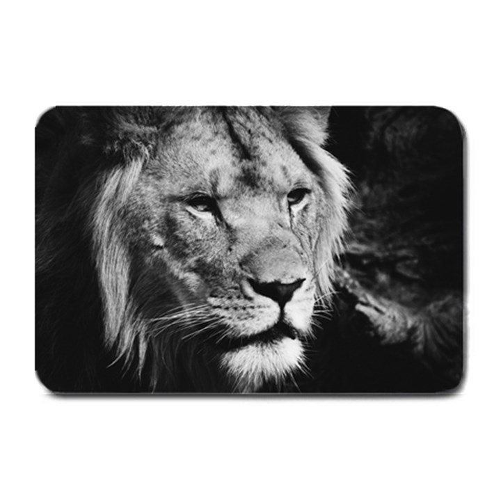 Africa Lion Male Closeup Macro Plate Mats