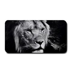 Africa Lion Male Closeup Macro Medium Bar Mats by BangZart