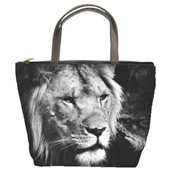 Africa Lion Male Closeup Macro Bucket Bags by BangZart