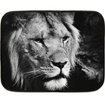 Africa Lion Male Closeup Macro Double Sided Fleece Blanket (Mini)  35 x27  Blanket Front