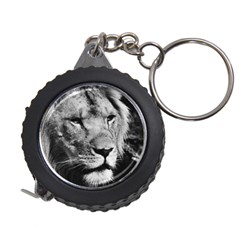 Africa Lion Male Closeup Macro Measuring Tape by BangZart