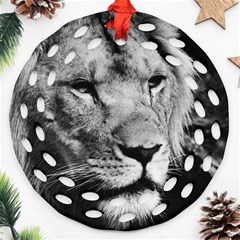 Africa Lion Male Closeup Macro Ornament (round Filigree) by BangZart