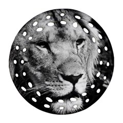 Africa Lion Male Closeup Macro Round Filigree Ornament (two Sides) by BangZart