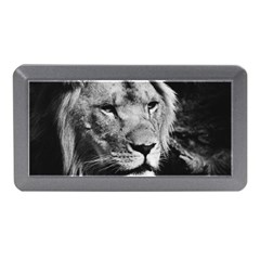 Africa Lion Male Closeup Macro Memory Card Reader (mini) by BangZart