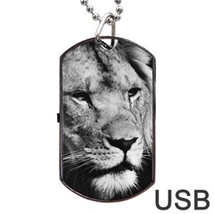 Africa Lion Male Closeup Macro Dog Tag Usb Flash (two Sides) by BangZart