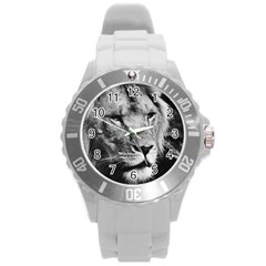 Africa Lion Male Closeup Macro Round Plastic Sport Watch (l) by BangZart