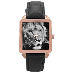 Africa Lion Male Closeup Macro Rose Gold Leather Watch  by BangZart