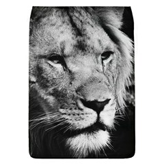 Africa Lion Male Closeup Macro Flap Covers (l) 