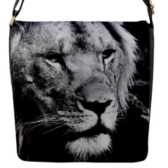 Africa Lion Male Closeup Macro Flap Messenger Bag (s) by BangZart